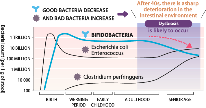 Bacterial count (per 1 g of stool)